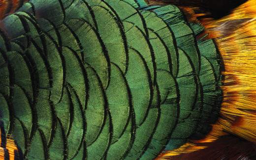 448846 (a): :1920x1200